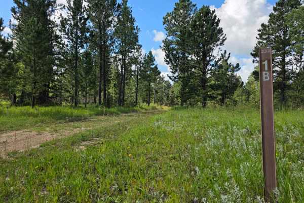 Rhoads Fork - FS 233.1B