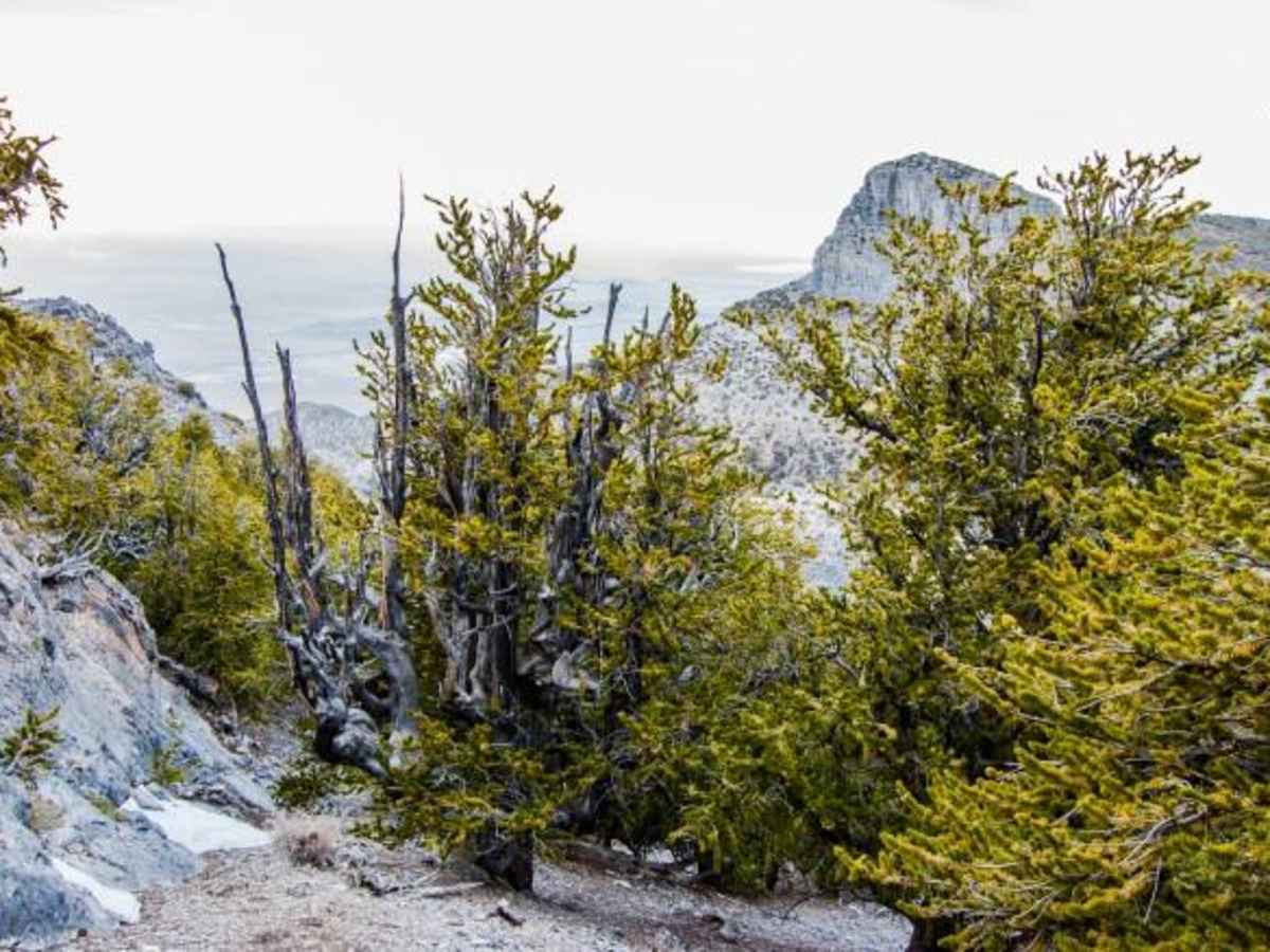 Notch Peak Overlook and Amasa Basin photo 3
