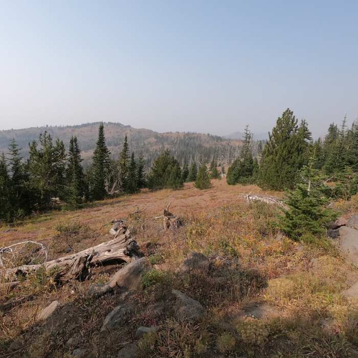 Near Road's End Trail #201