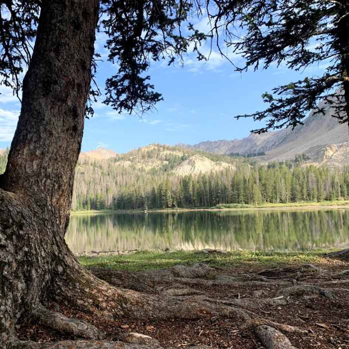 Near Fourth of July to Windy Devil Near Fourth of July to Windy Devil