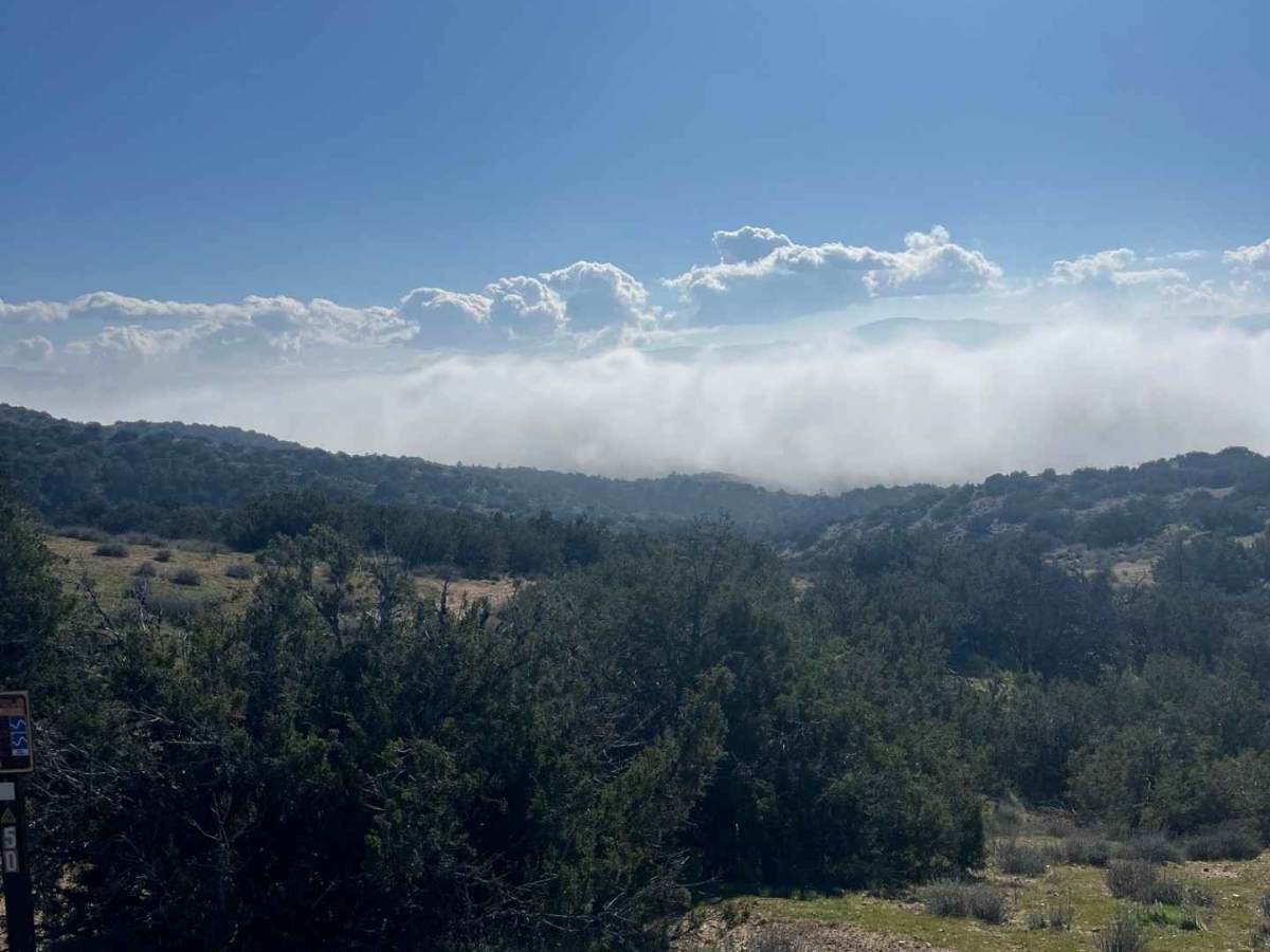 Trail 29 photo 4