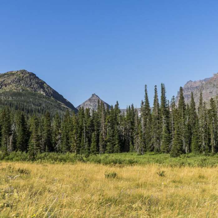 Near Aster Park Overlook Hike