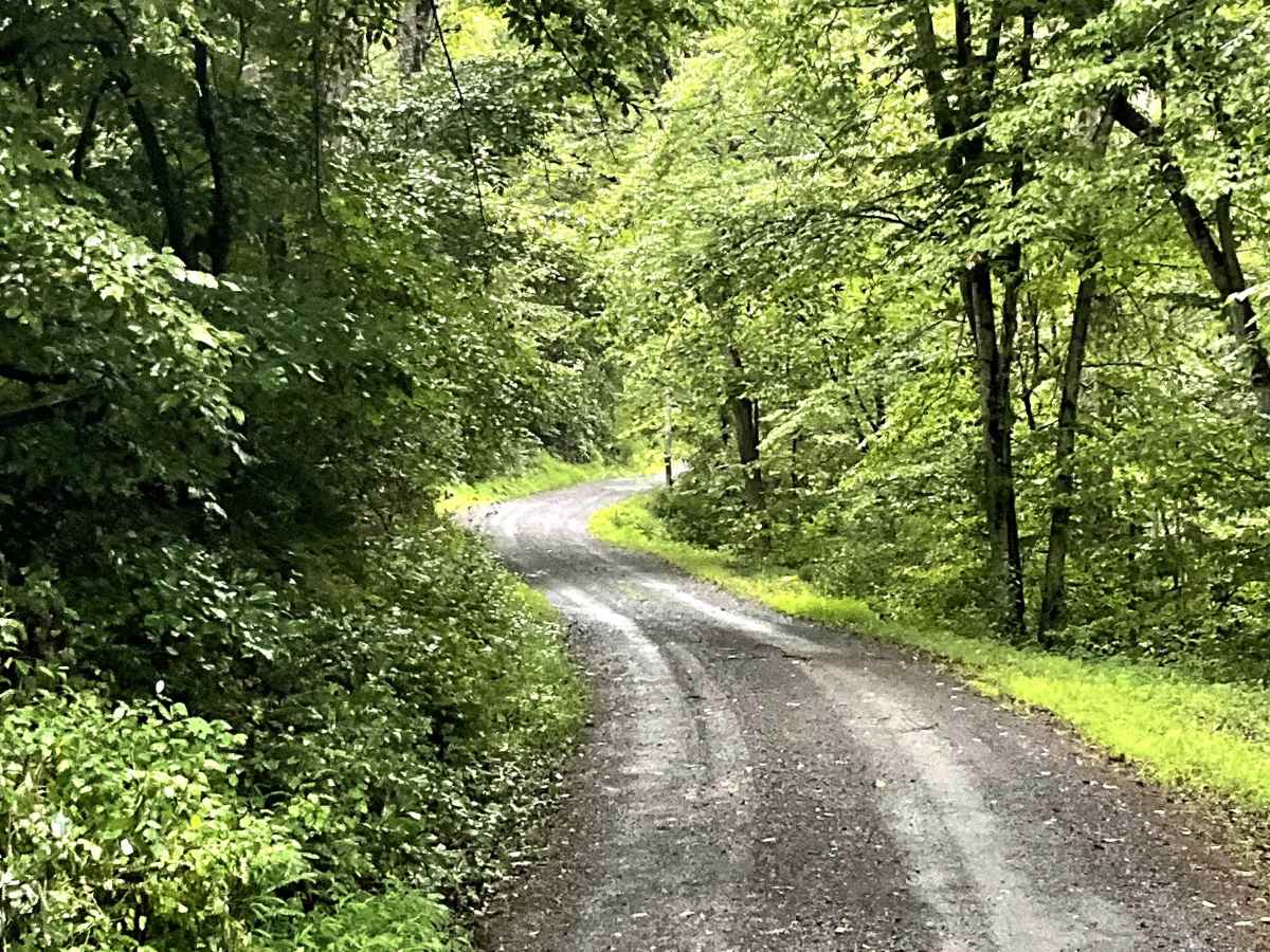 The Knob Road photo 3