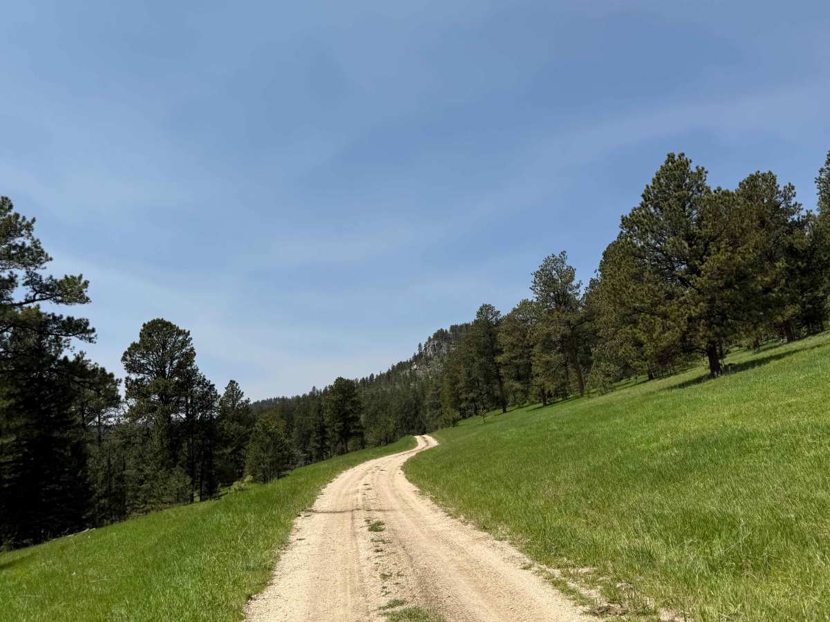 FS 655 Trail Gulch  photo 6