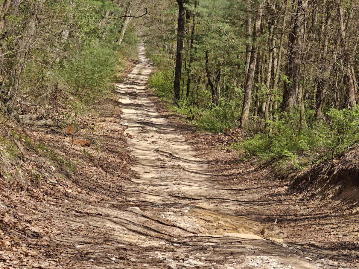 Middleville State Game Area trail photo