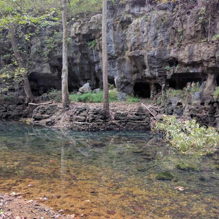 Near Whites Creek Trail