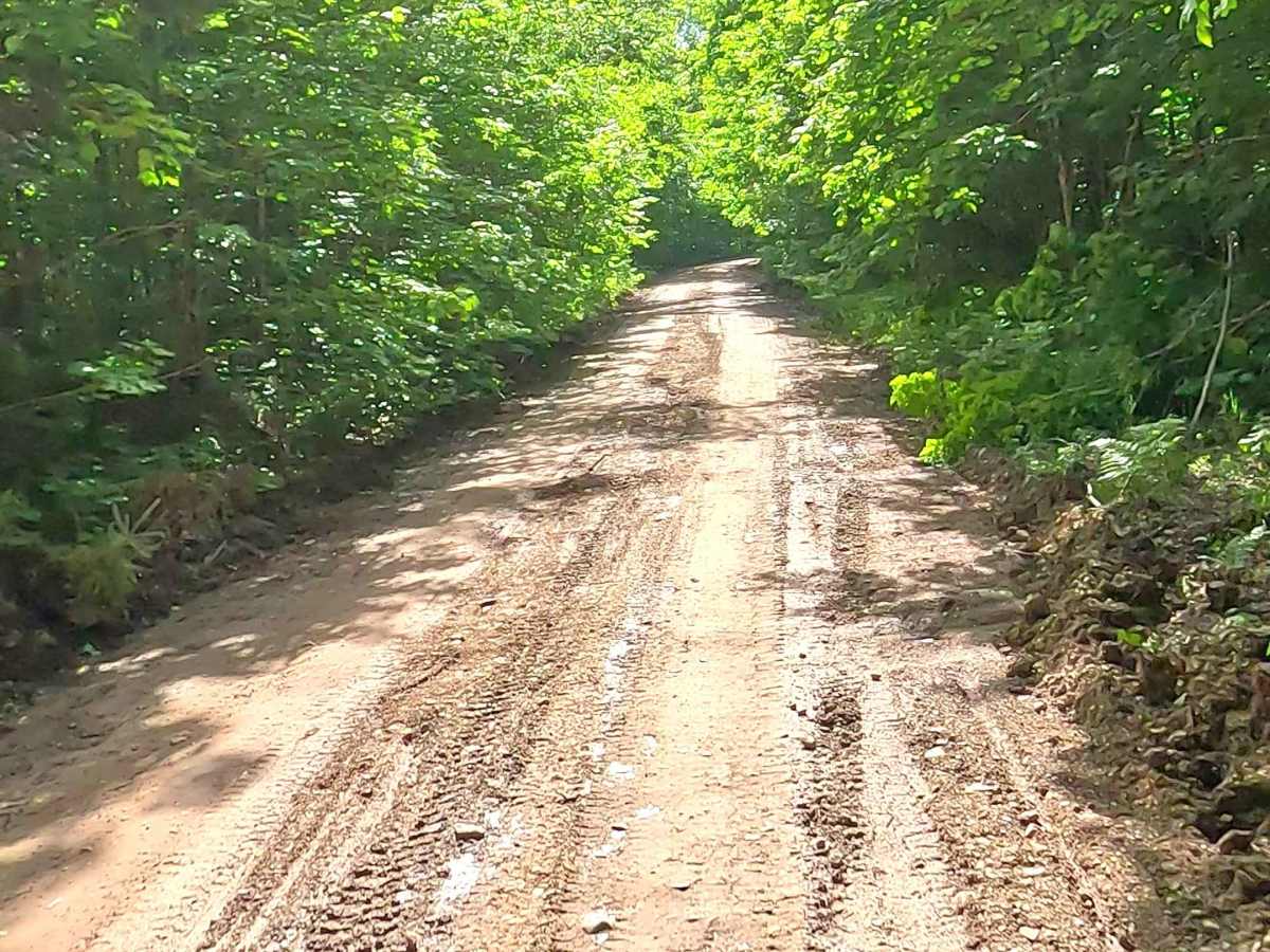 Celotex Spur photo 5
