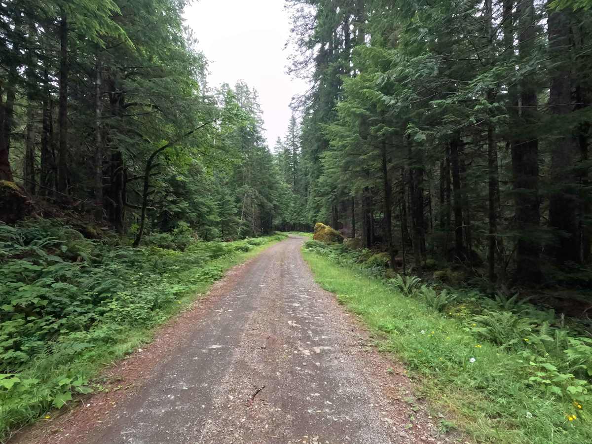 Church Creek Trailhead - FS 2361 photo 5