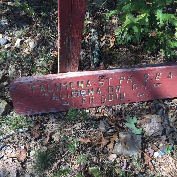 The beginning of the short cut to the Choctaw Nation Trail, starting near Talimena Drive Near Ouachita - Old Military Trail Loop