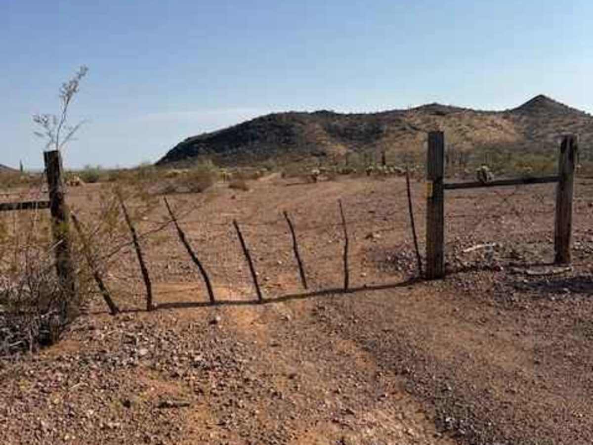 BLM 39160 photo 5