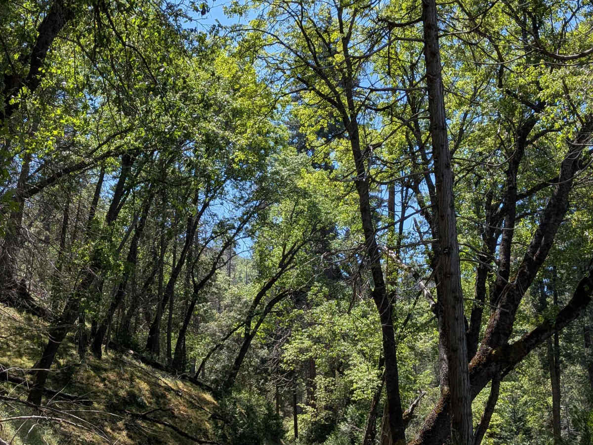 Jack Ranch - FS 24S05 photo 4