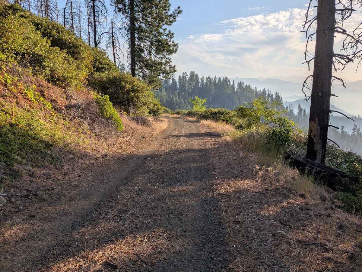 Big Lake Road - FS 5N09 photo 3