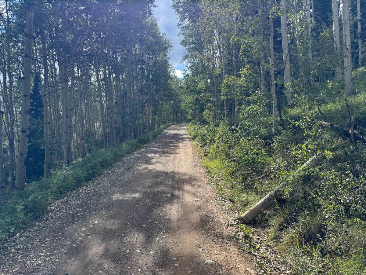 County Road 579 photo 4