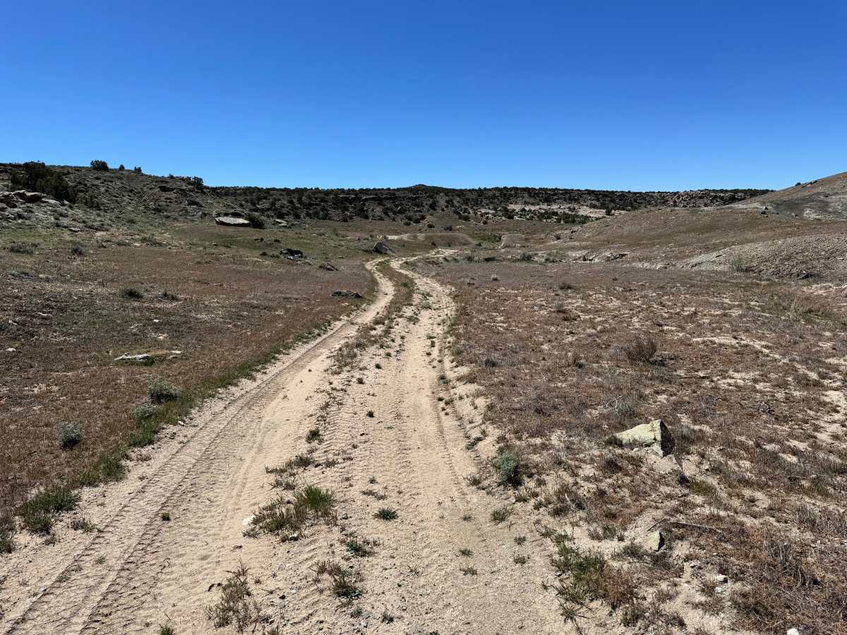 Yellow Jacket Canyon photo 3