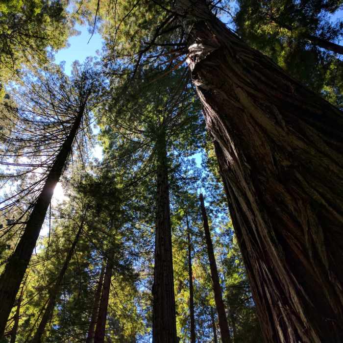 Near Hope Creek/Ten Taypo Loop