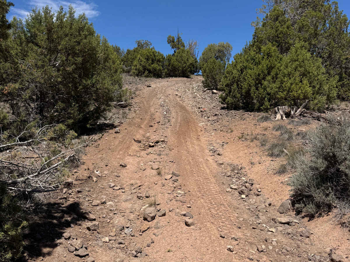 BLM 8472 photo 4