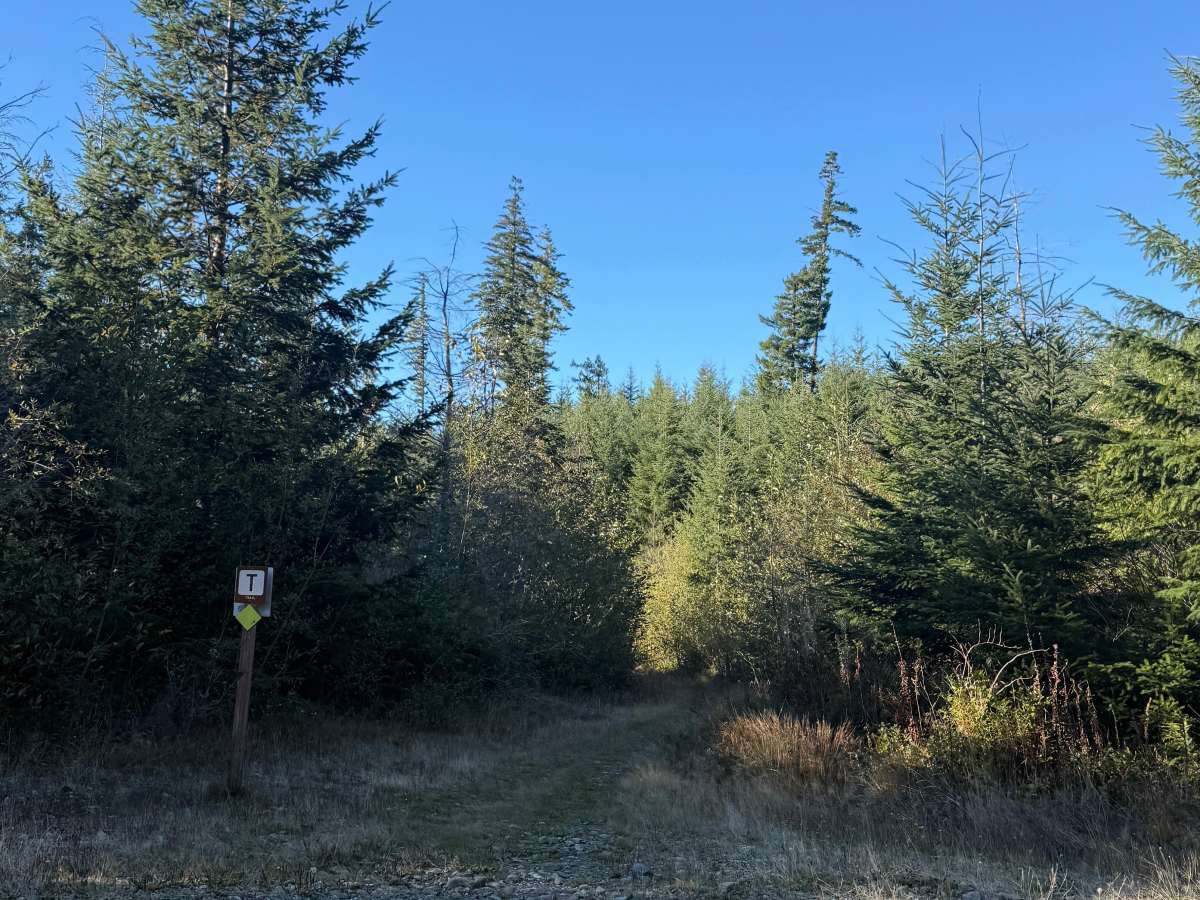 Upper Swanson photo 6
