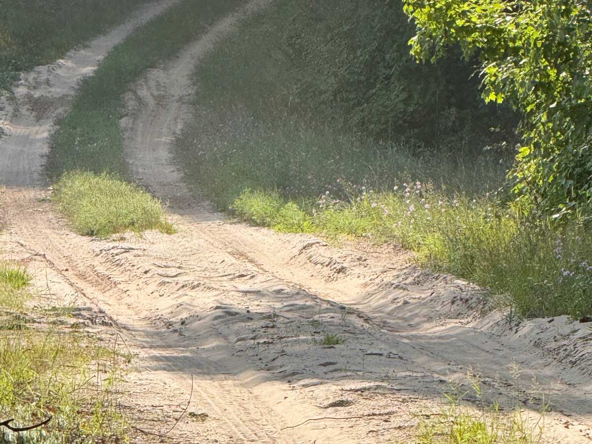 10-3.5 Trail photo 6