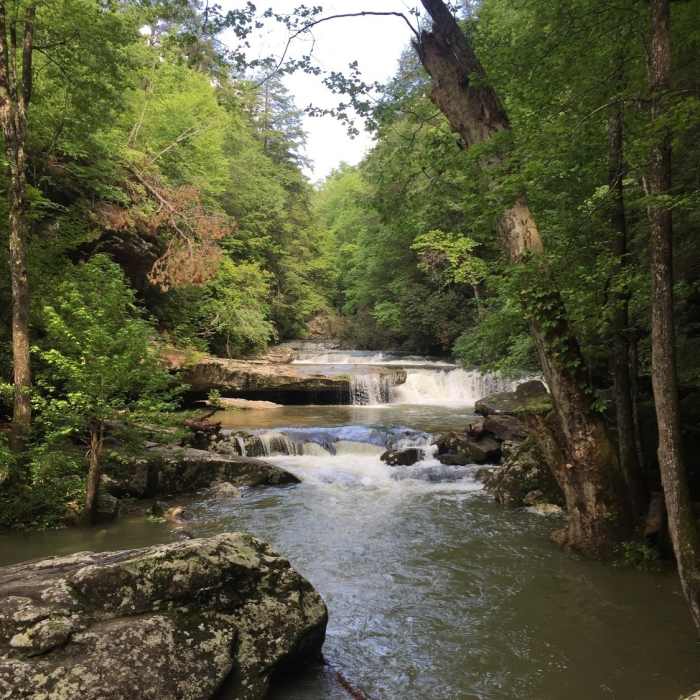 Near Sheltowee Trace NRT: Section 27