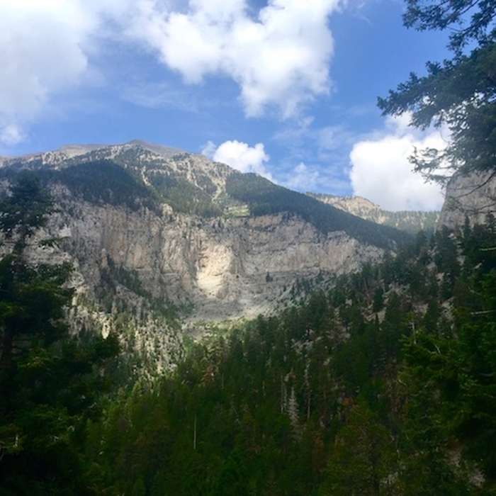 Looking towards Mt Charleston Near Mary Jane Falls Trail