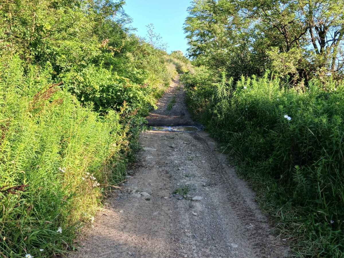 Trail 12V - Rock Run Recreation Area trail photo