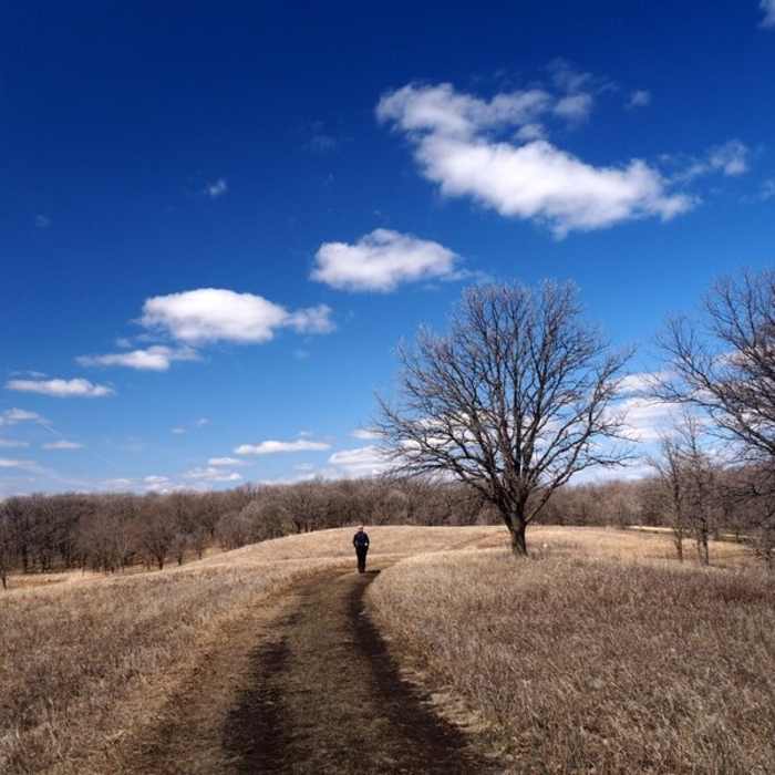 Near High Peaks Trail