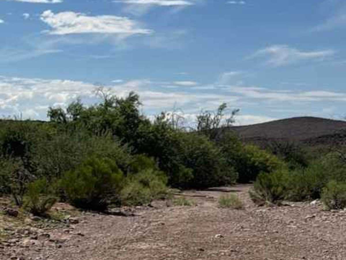 BLM PE1132 photo 6