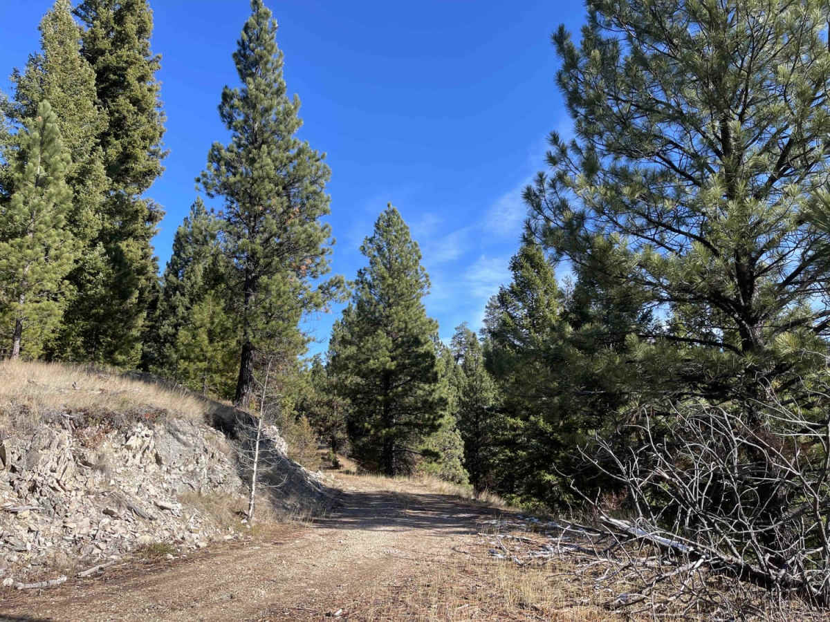 Old Coal Creek Dead End photo 2