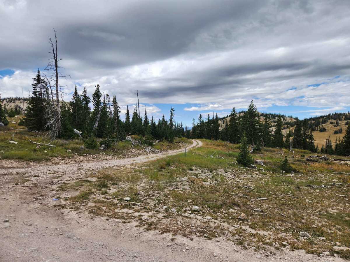 Island Lake Campground - FS 50136 trail photo