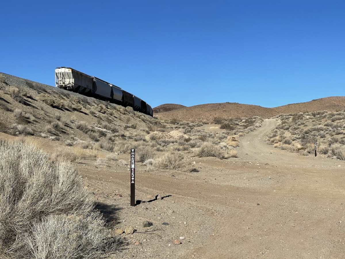 Don't Miss the Train photo 3