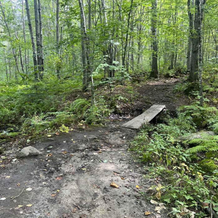Near Sabattus Mountain Loop Trail