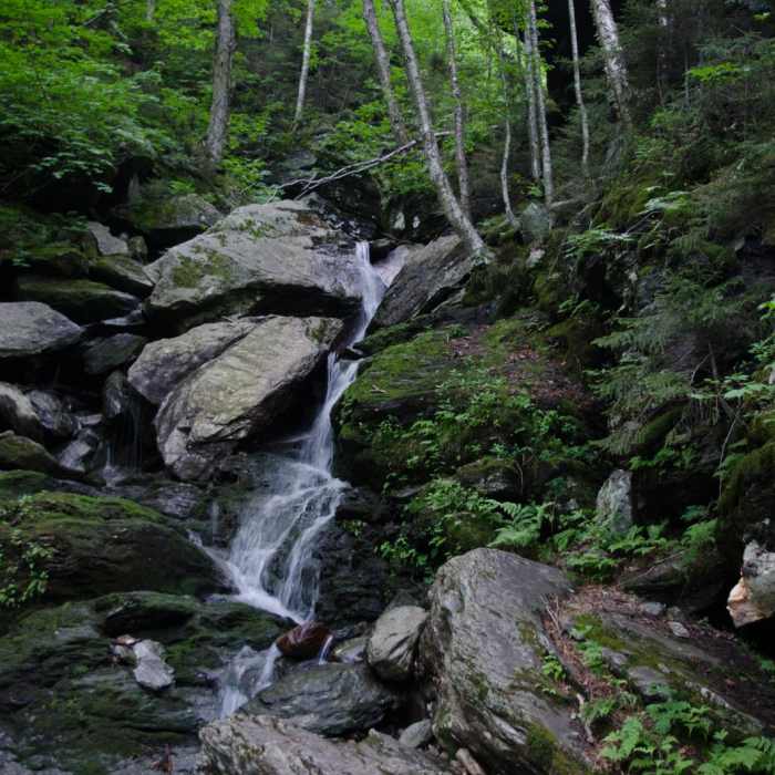 Near Mount Mansfield via Hell Brook + Long Trails Near Mount Mansfield via Hell Brook + Long Trails