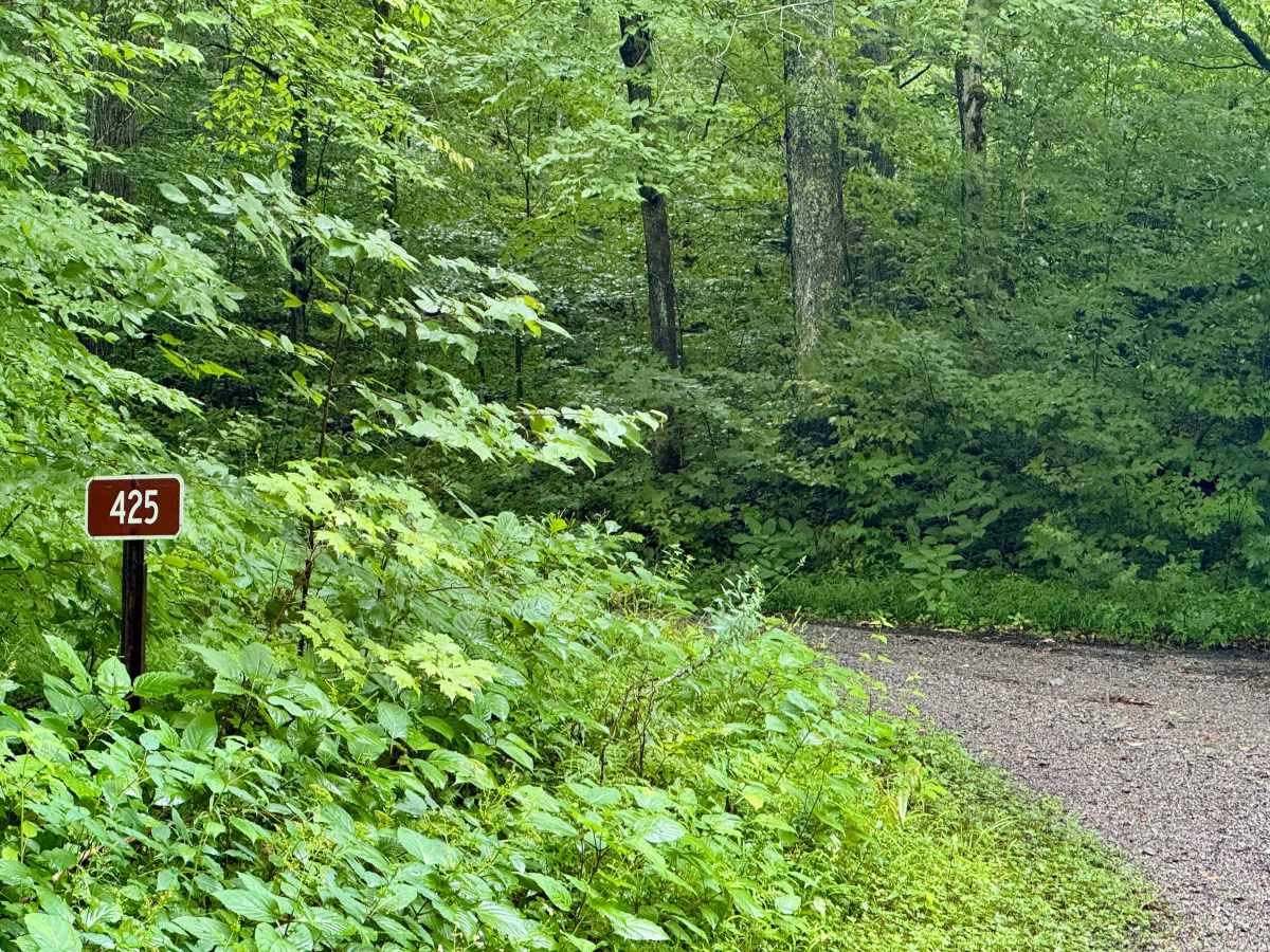 Laurel Run - FS 425 photo 2