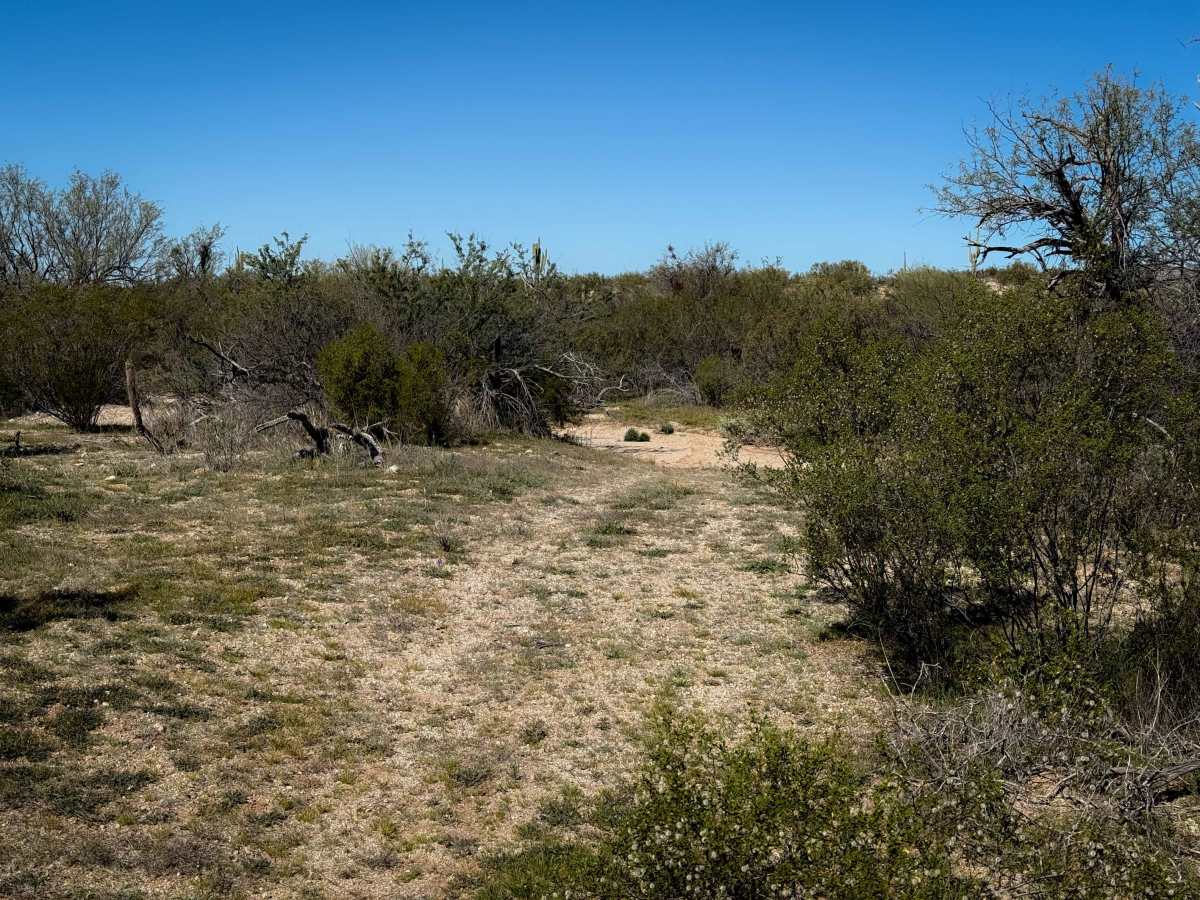 Primitive Trail  photo 6