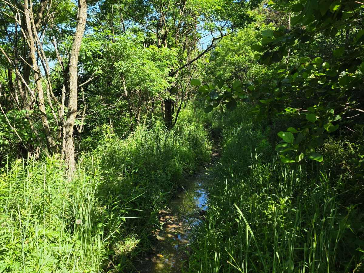 Single Track R photo 6