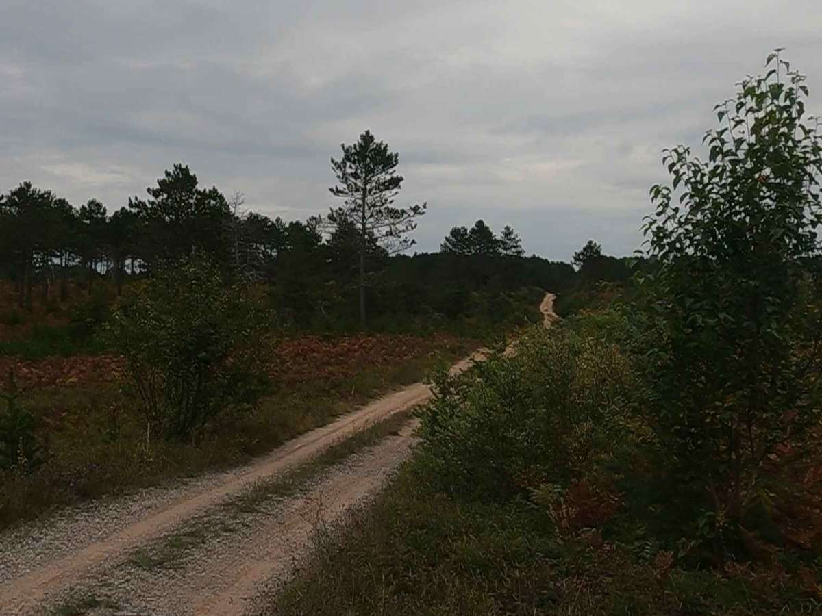 Flat Land - FSR 3036 photo 3