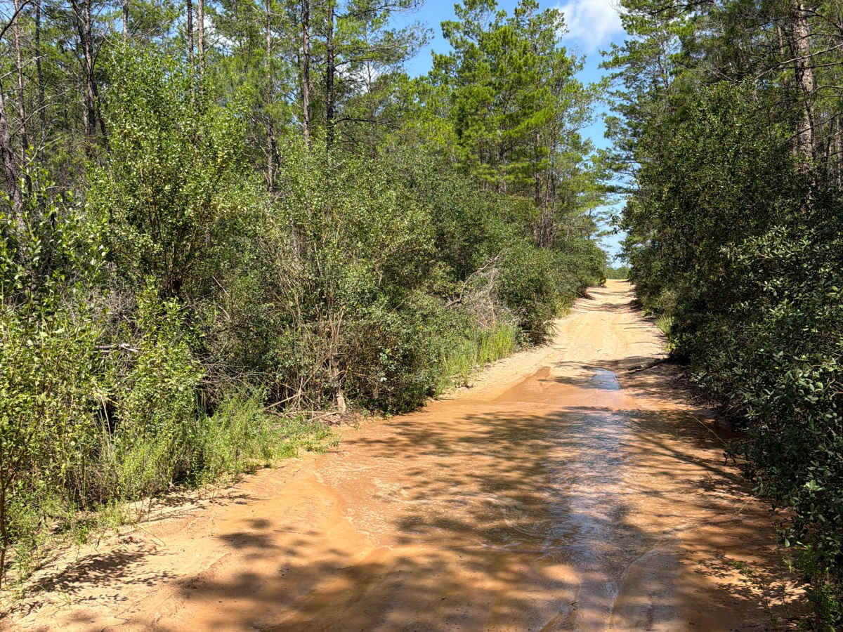 Centennial Gateway - FS 40-14.2 trail photo