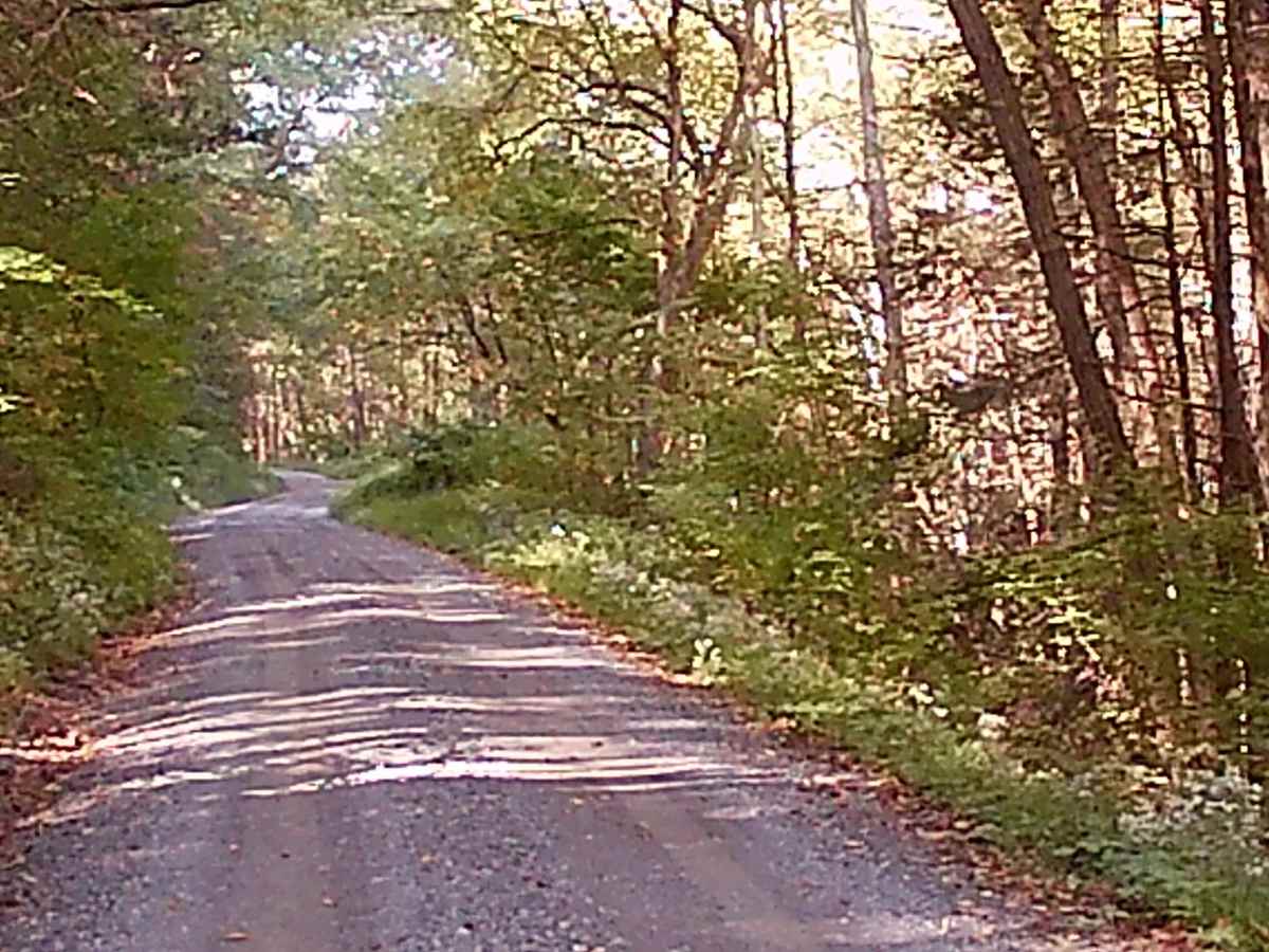 Swift Run Road photo 3