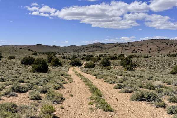 Four Mile Spring Bypass - FS 44428