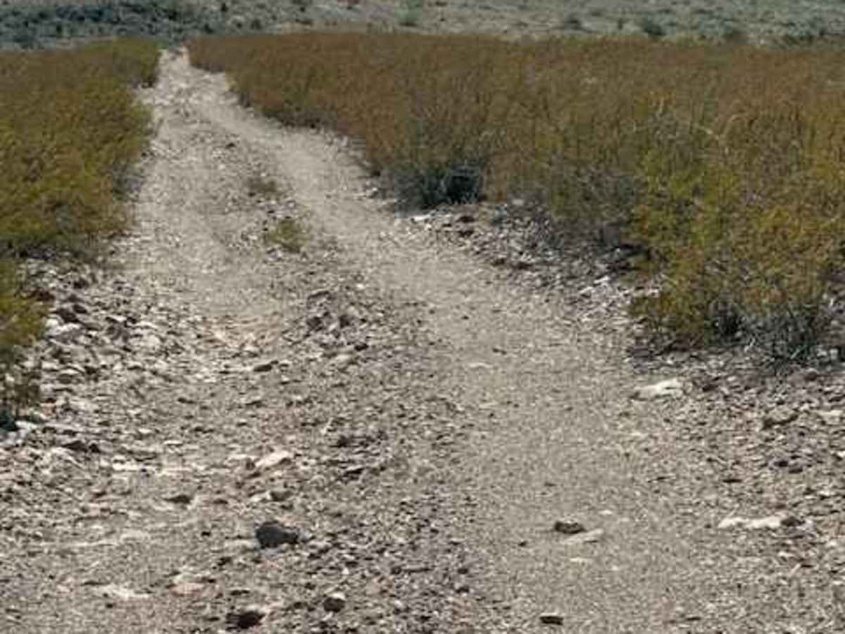 BLM PE1137 trail photo