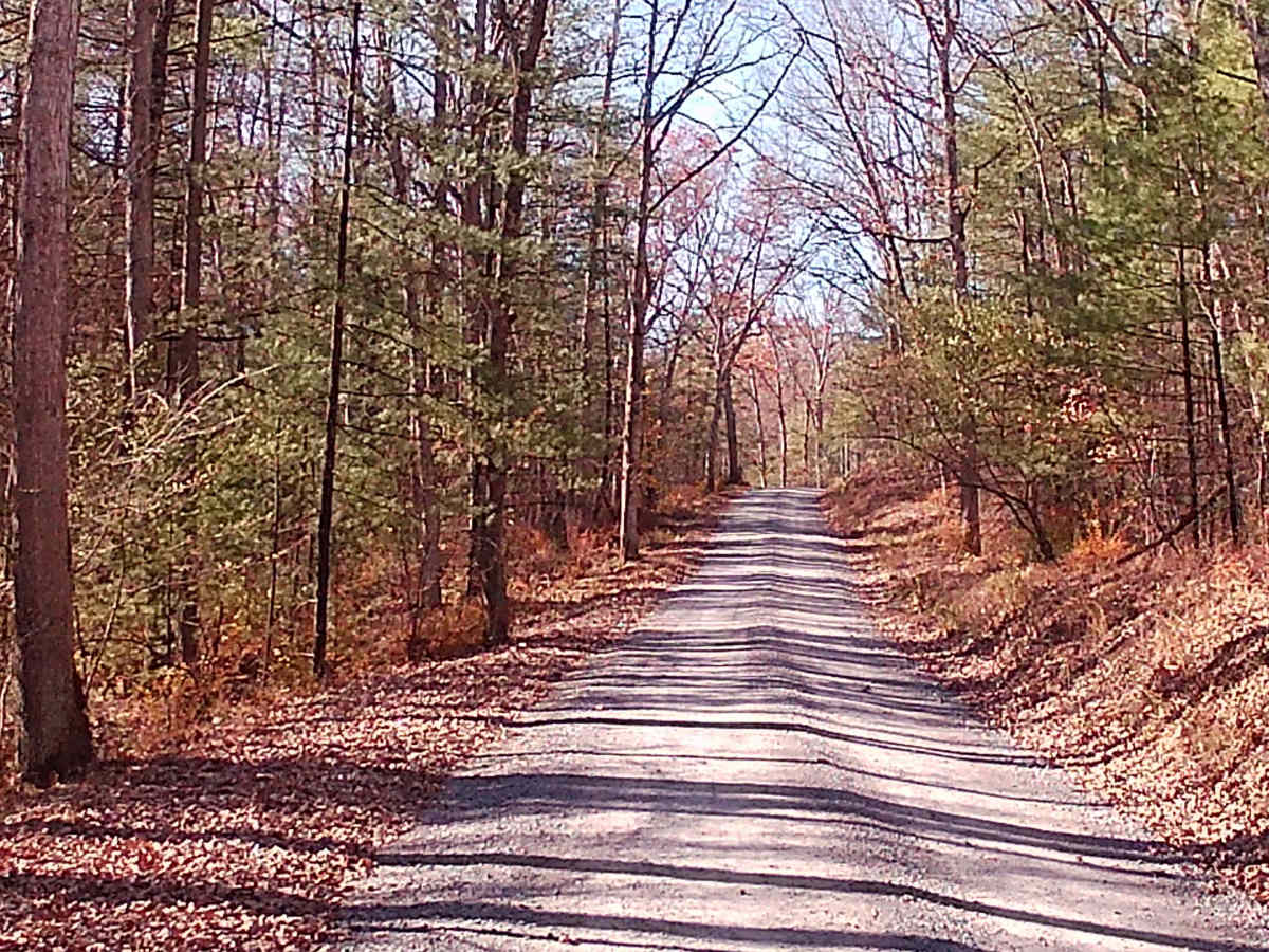 Coopers Gap Road photo 4