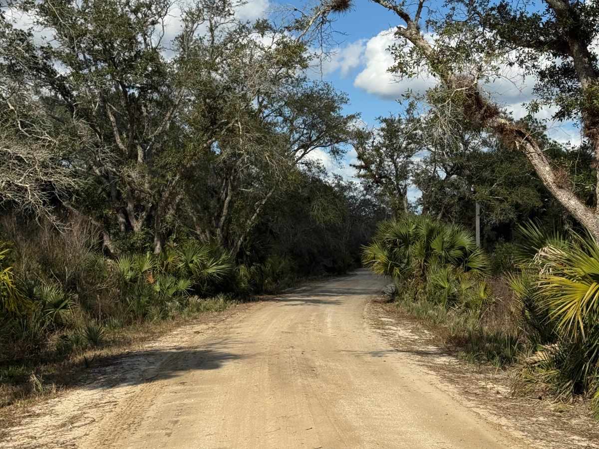 Long Bluff Road photo 5