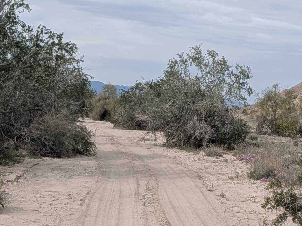 EC1222 photo 2