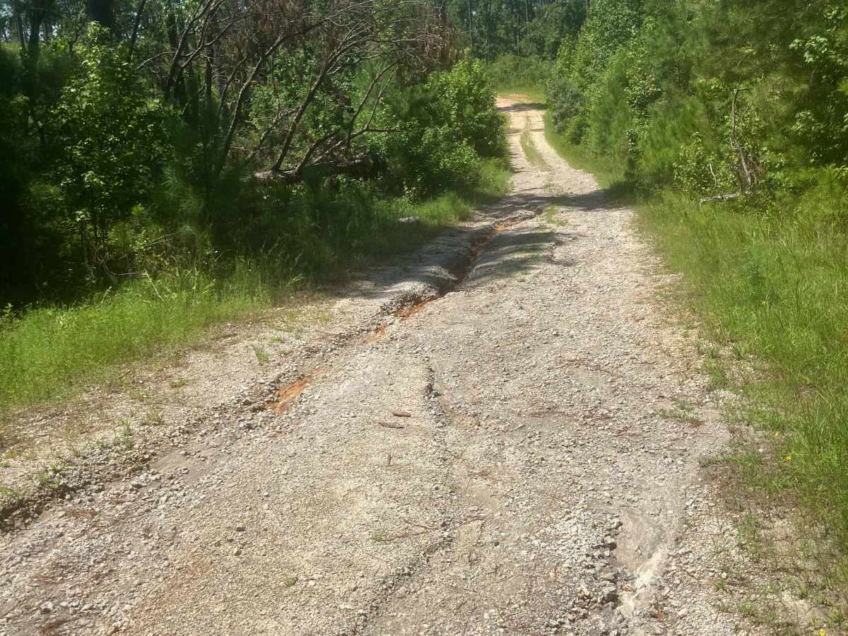 Mason Wildlife Trail South photo 5