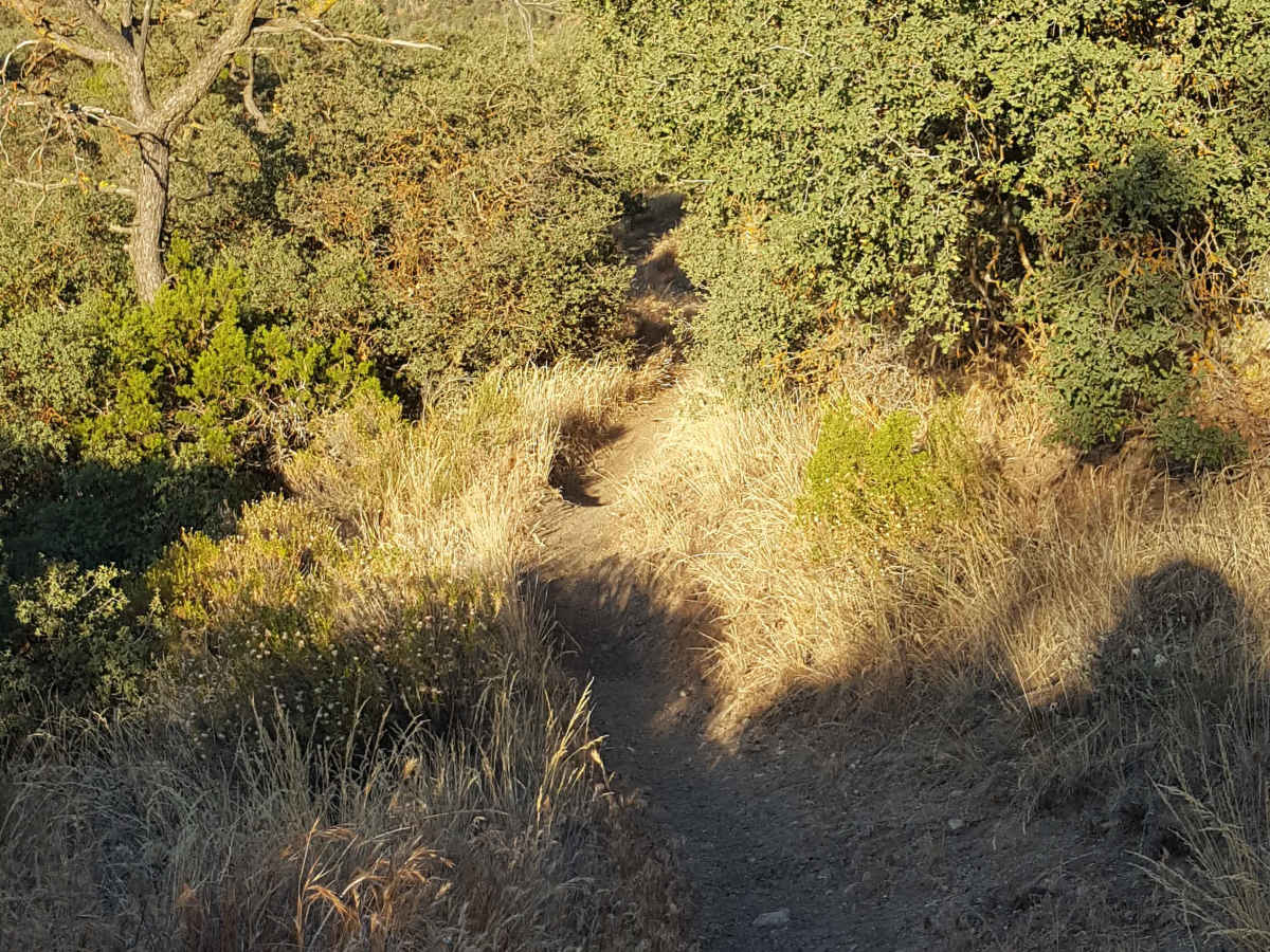 Trail 23 photo 6