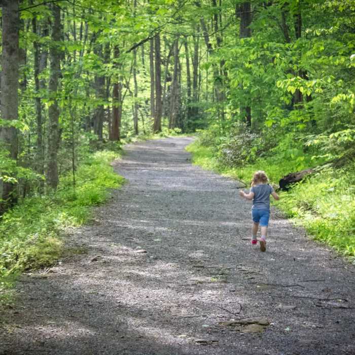 Near Little River Trail Near Little River Trail