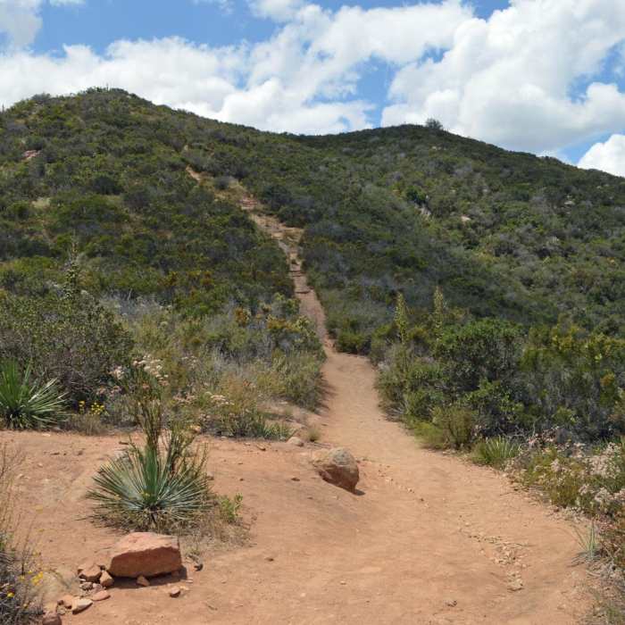 Near Kwaay Paay Peak Trail