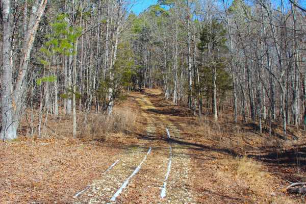 Bear Tick Ridge - FS 2459