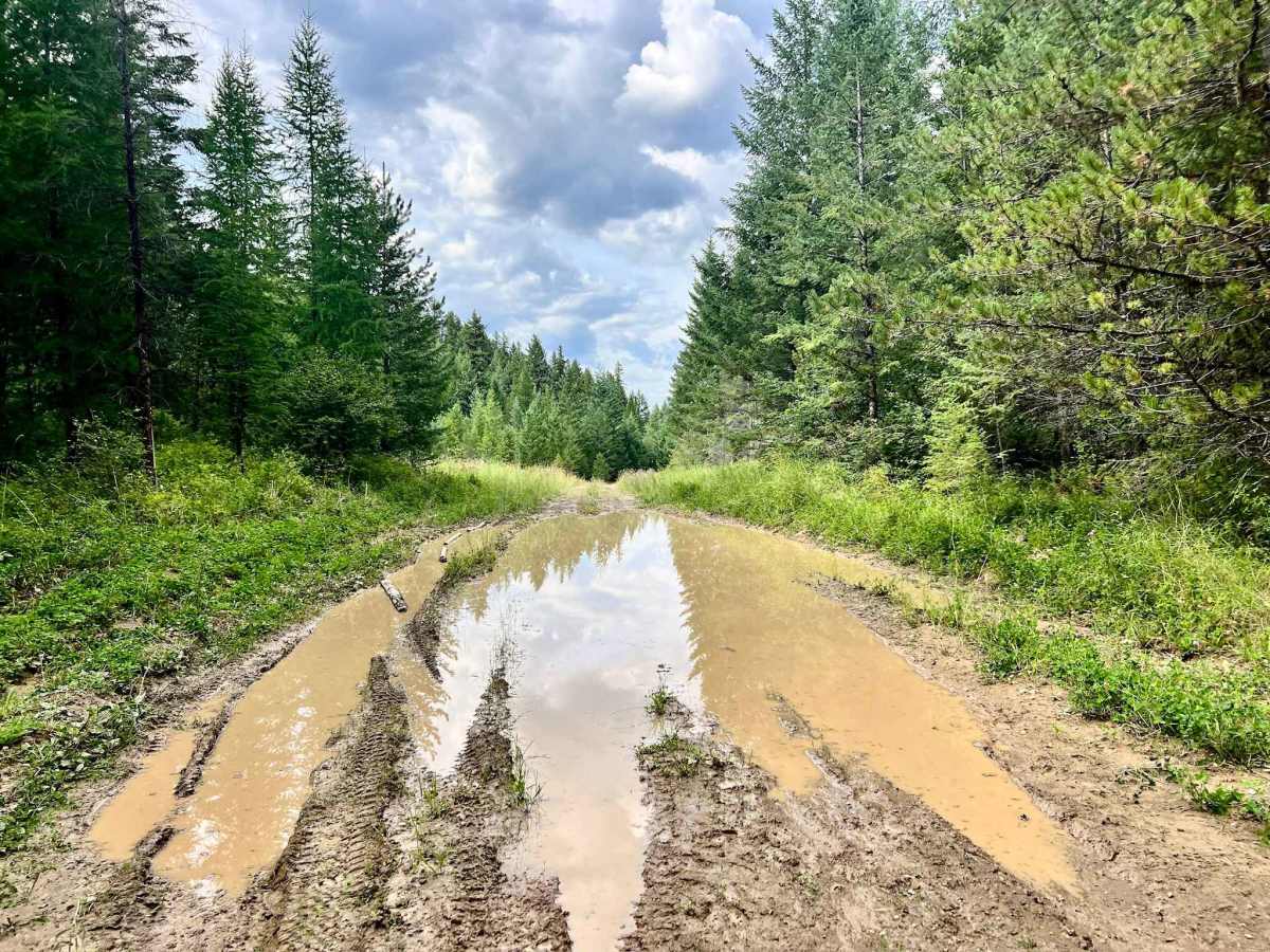 North Meadow Creek photo 2