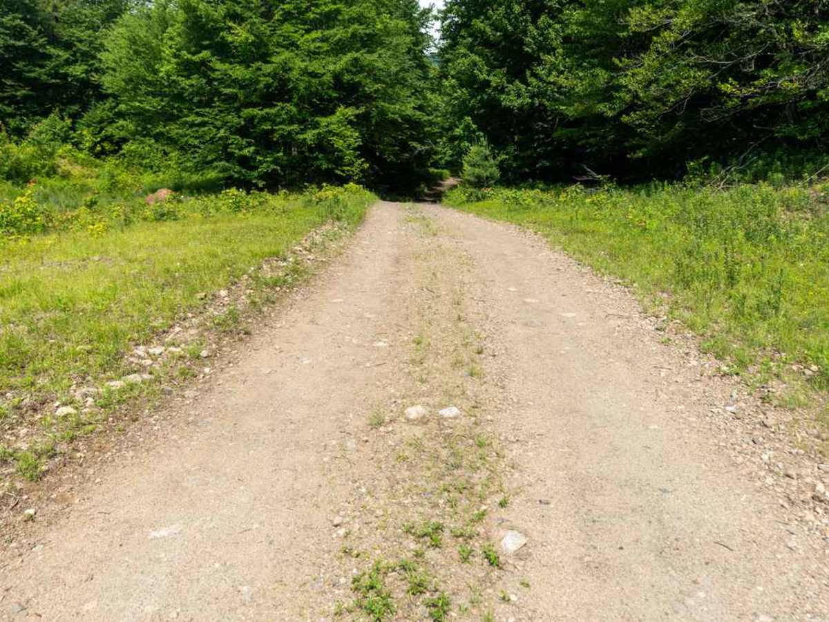 Deer Pond Road photo 3